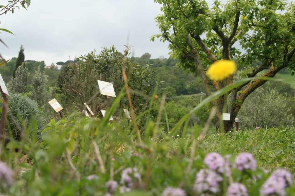 Agriturismo L'Antica Sosta