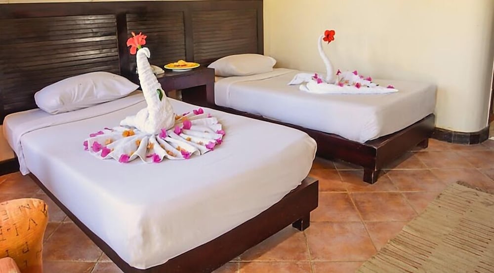 Abu Dabbab Lodge view 5