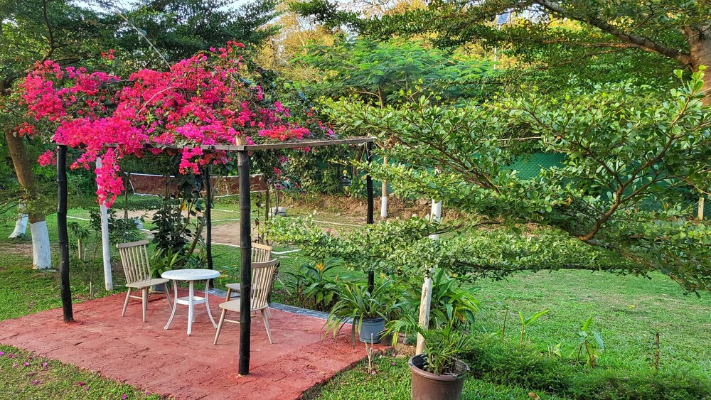 THE YELLOW BAMBOO RESORT AND SPA