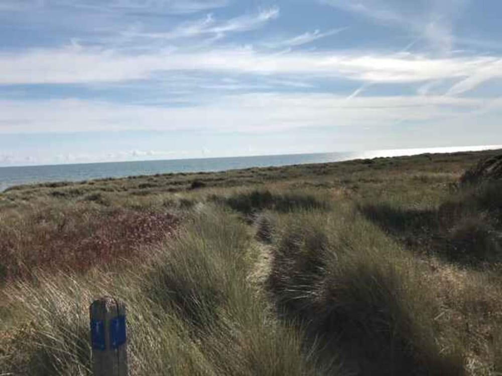 5 Star Holiday Home in Saeby