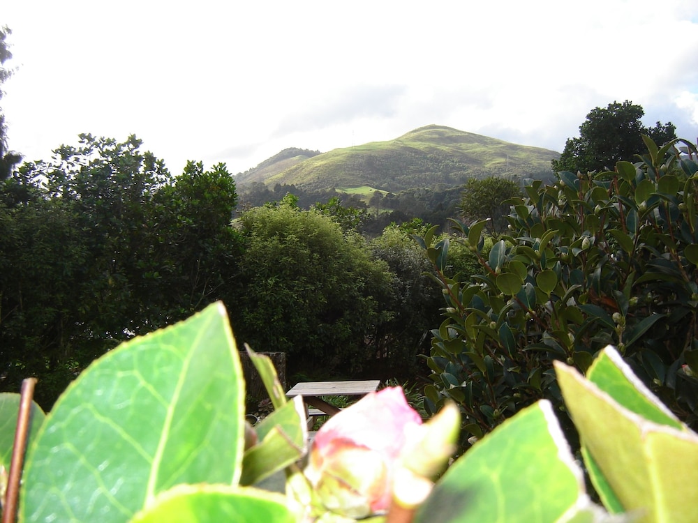 Karangahake Gold 'n Views Cottage