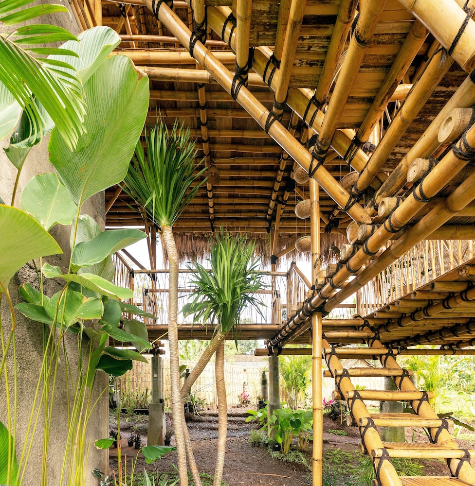 Bamboo & B - Hostel