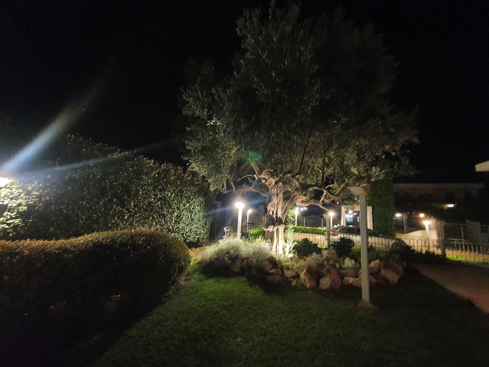 Photo 56