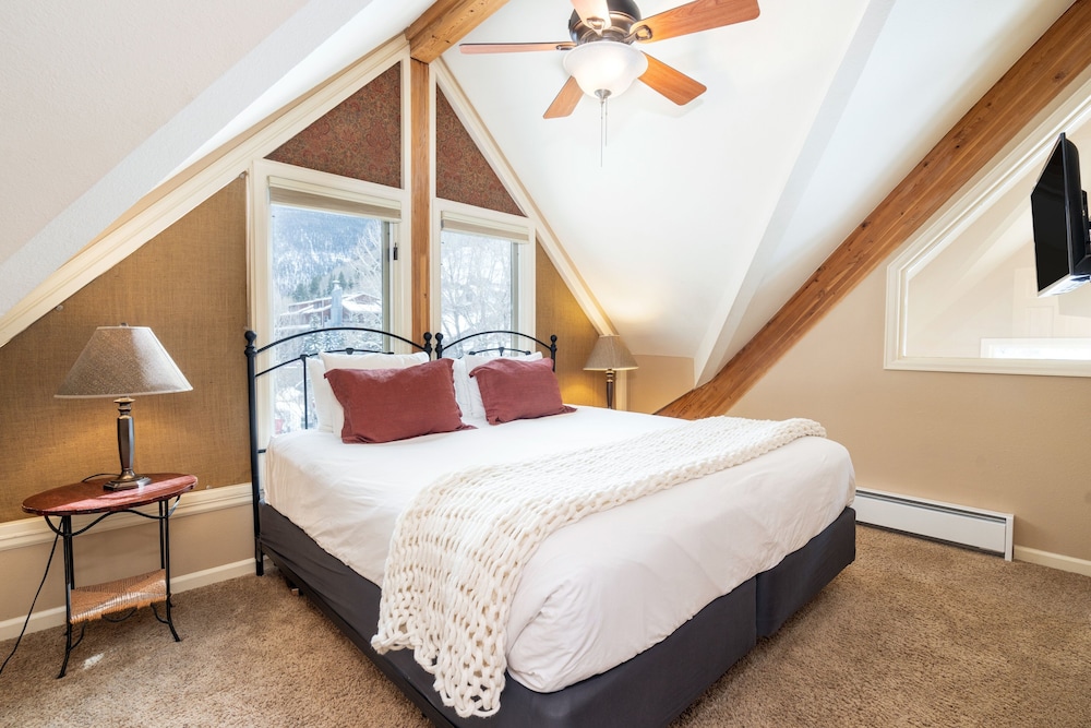 Telluride Ski Resort CO - Viking Lodge Condos