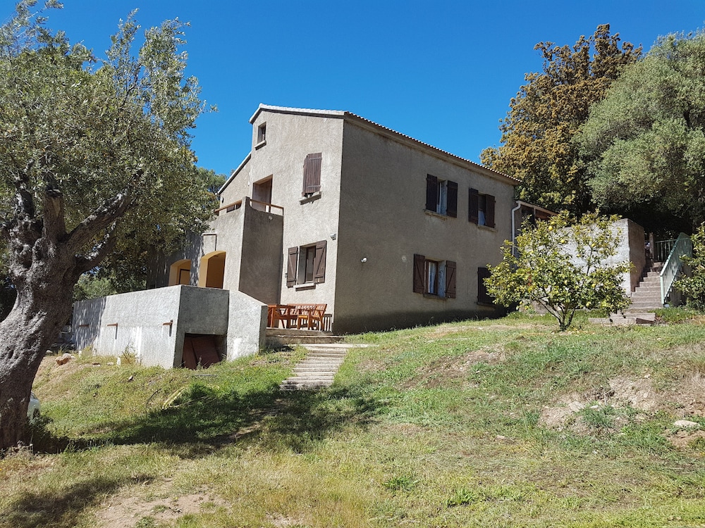 A Casa Di L'Alivu