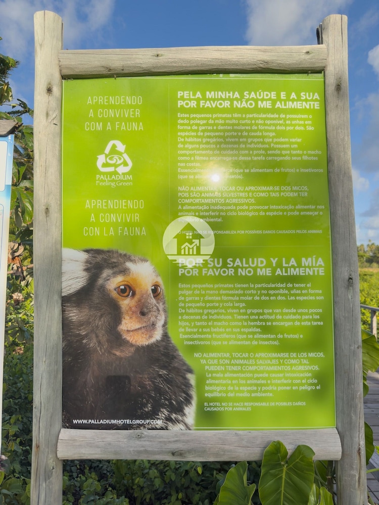 Paraíso na Reserva Imbassaí