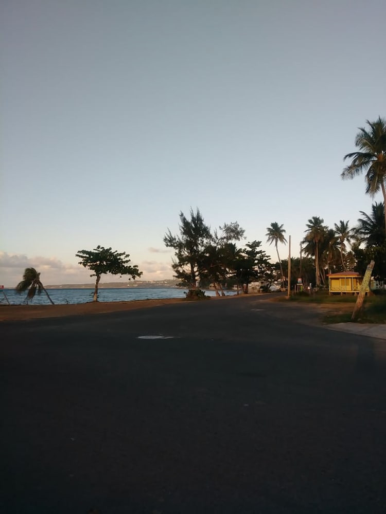 Photo 29