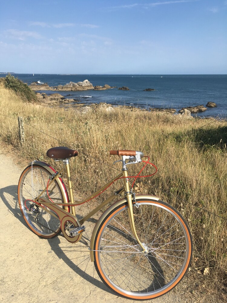 L'Ecrin de l'Océan 80 m de la mer