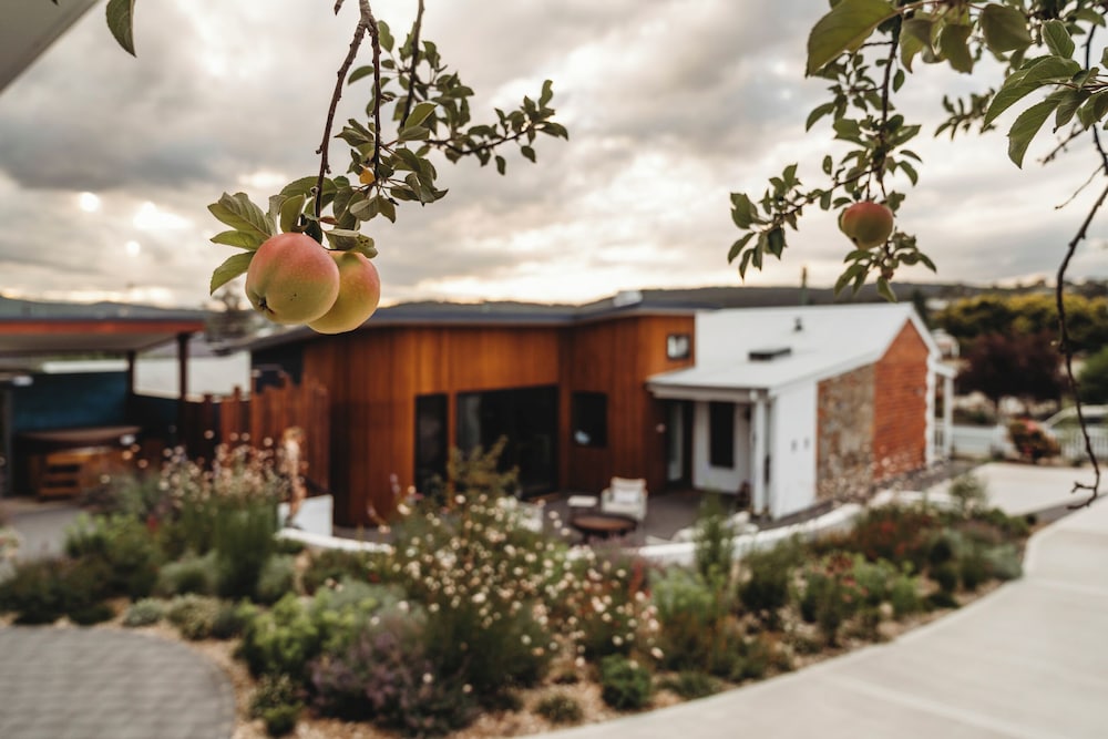 Hollyberry House