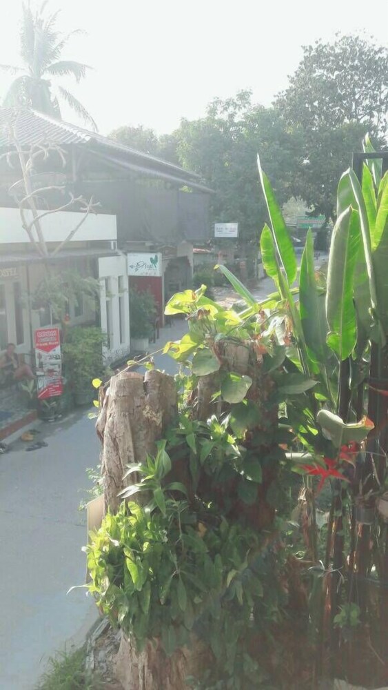 Decho Hostel