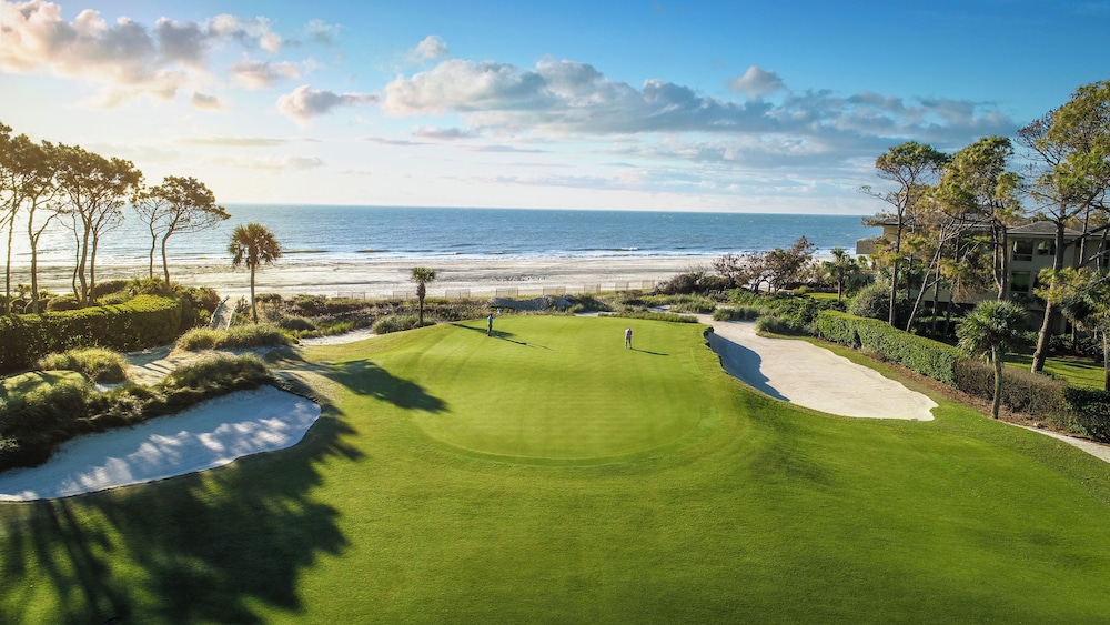 8 Surf Scoter at The Sea Pines Resort view 4