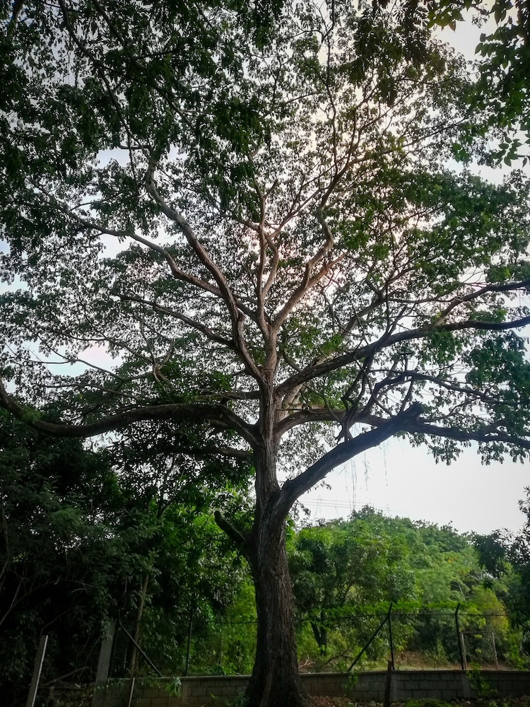 Ecohabs Bosques del Tayrona