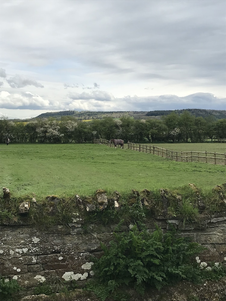 Lower Buckton Country House - Sleeps 12