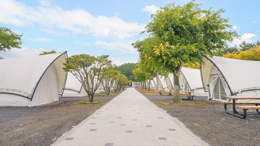 Boryung Oz Camping Glamping