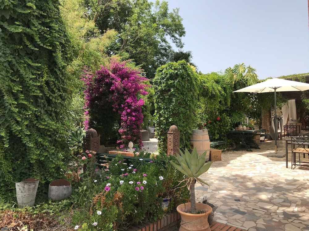 B&B Cortijo Andaluz