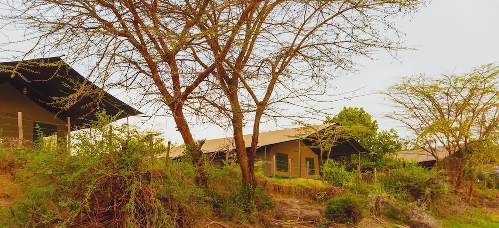 Mara Duma Luxury Camp