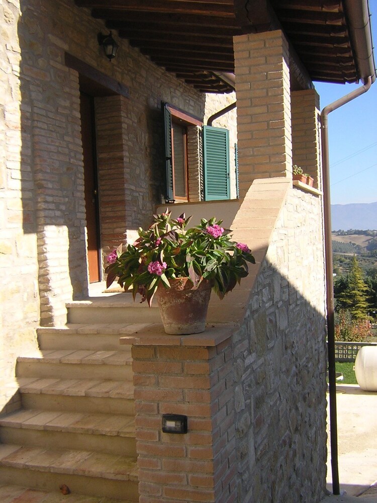 Photo 7