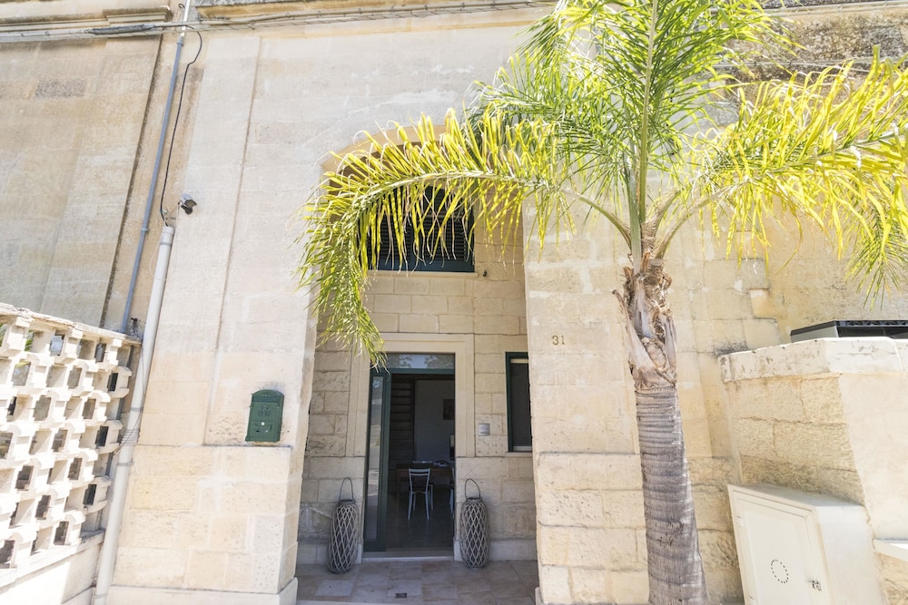B&B Tarantola