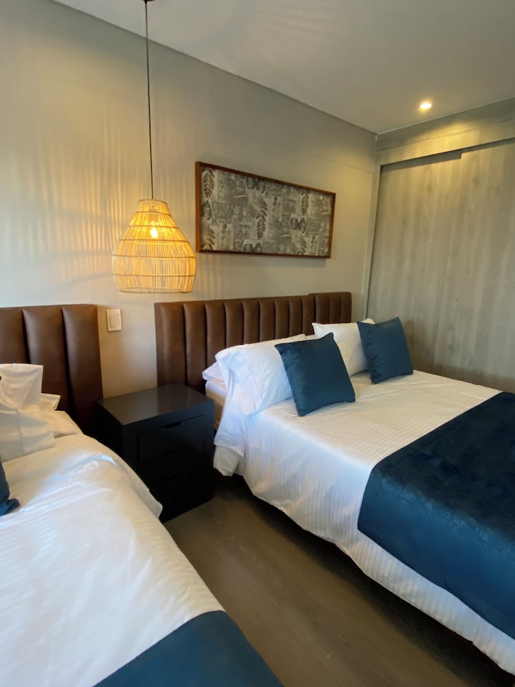 Monarch Campestre