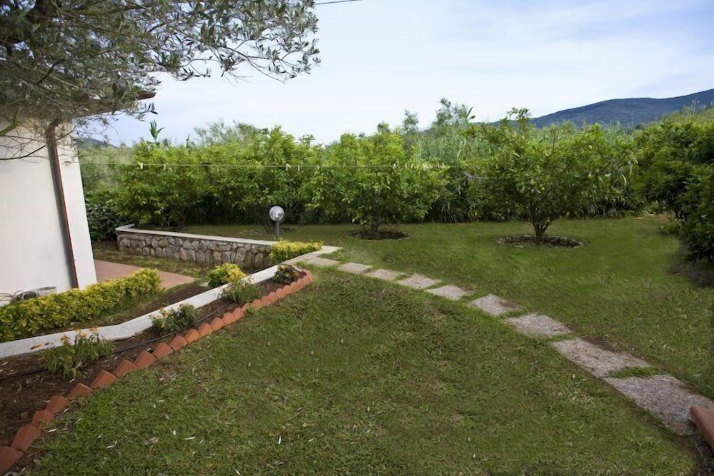 Photo 10