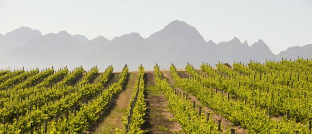 Jordan Wines Luxury Suites