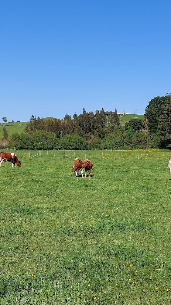 Cabañas ecológicas