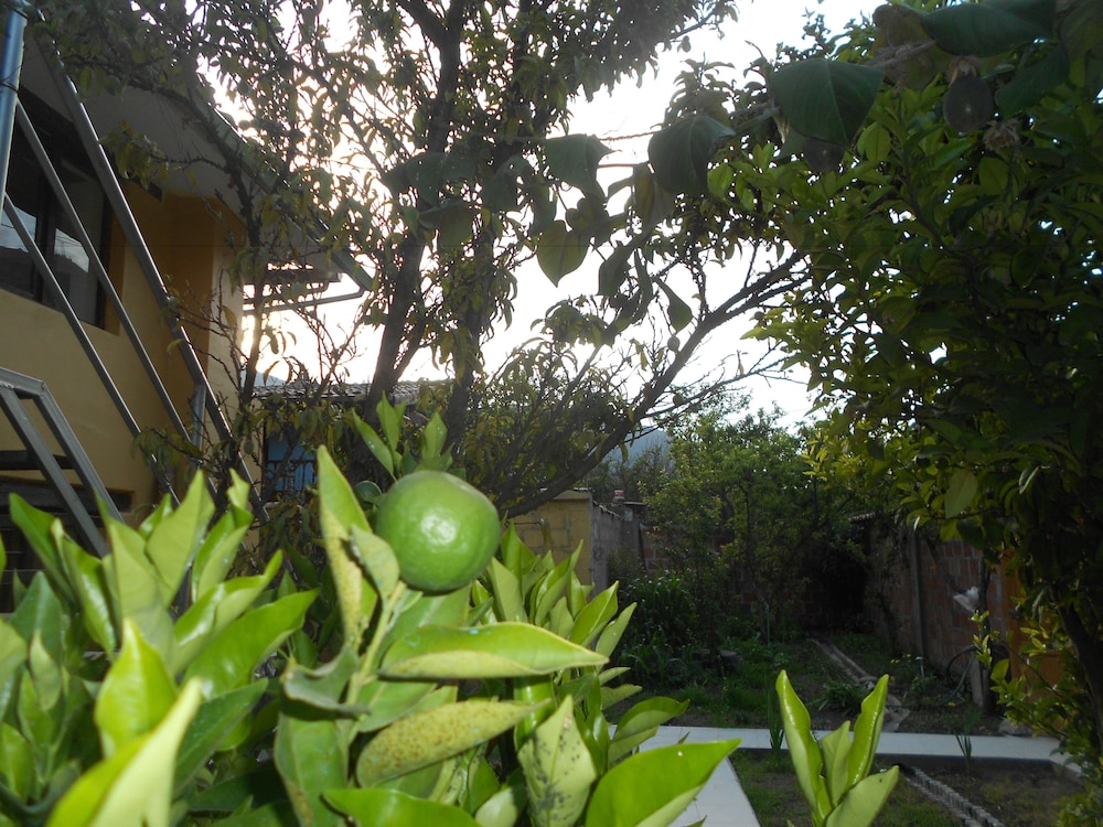 Garden Lodge