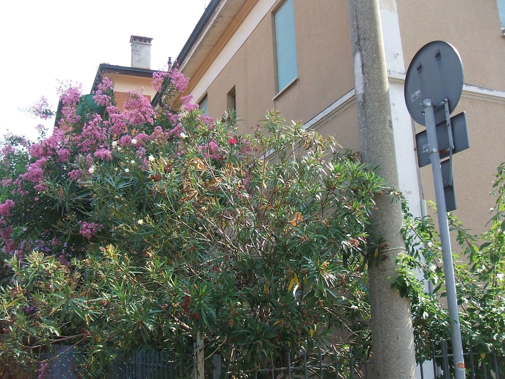 Photo 28