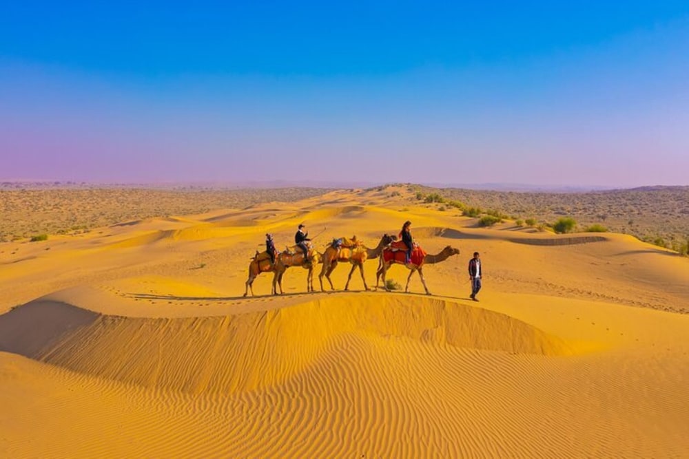 SAM DESERT RESORT