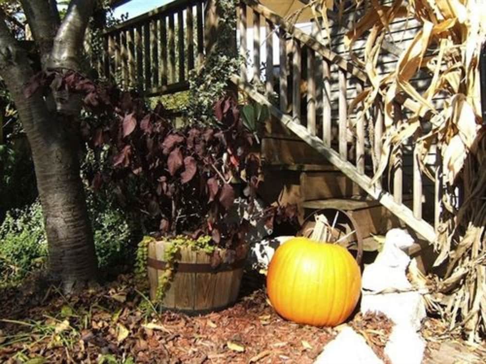 Photo 42