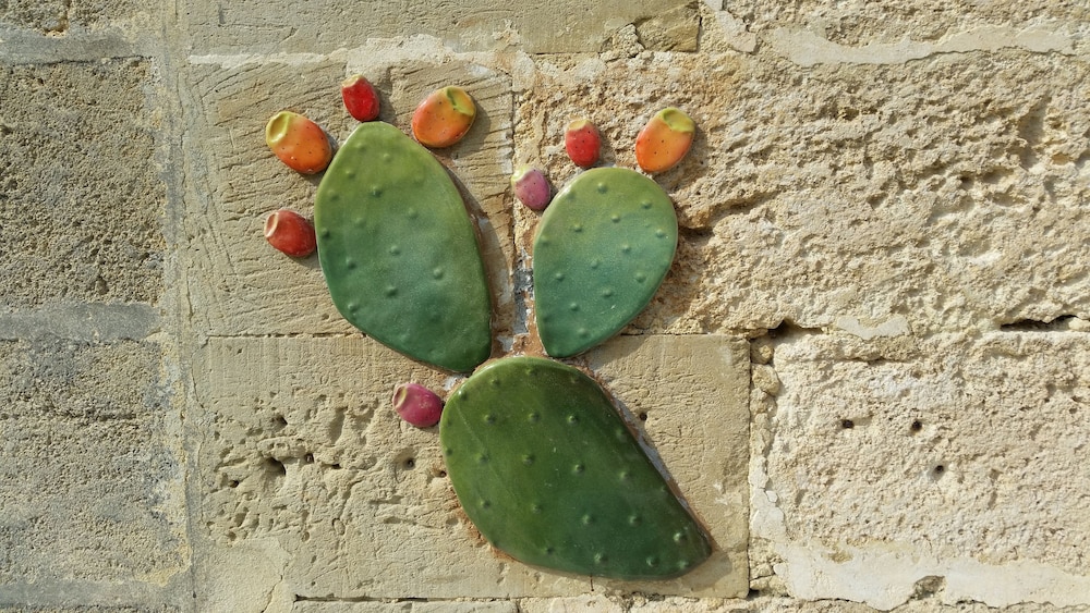 B&B Masseria 12 Granai