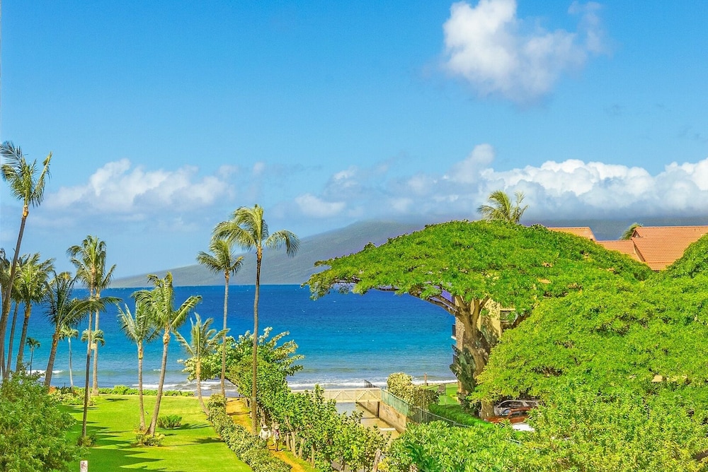 Kaanapali Shores 422 - 1Br Condo