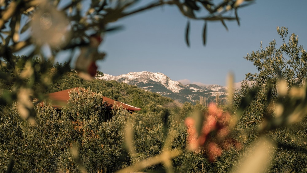 Oli Camping & Bungalows