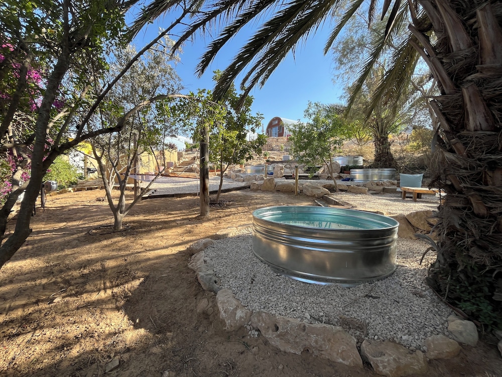 Carmey Avdat Farm
