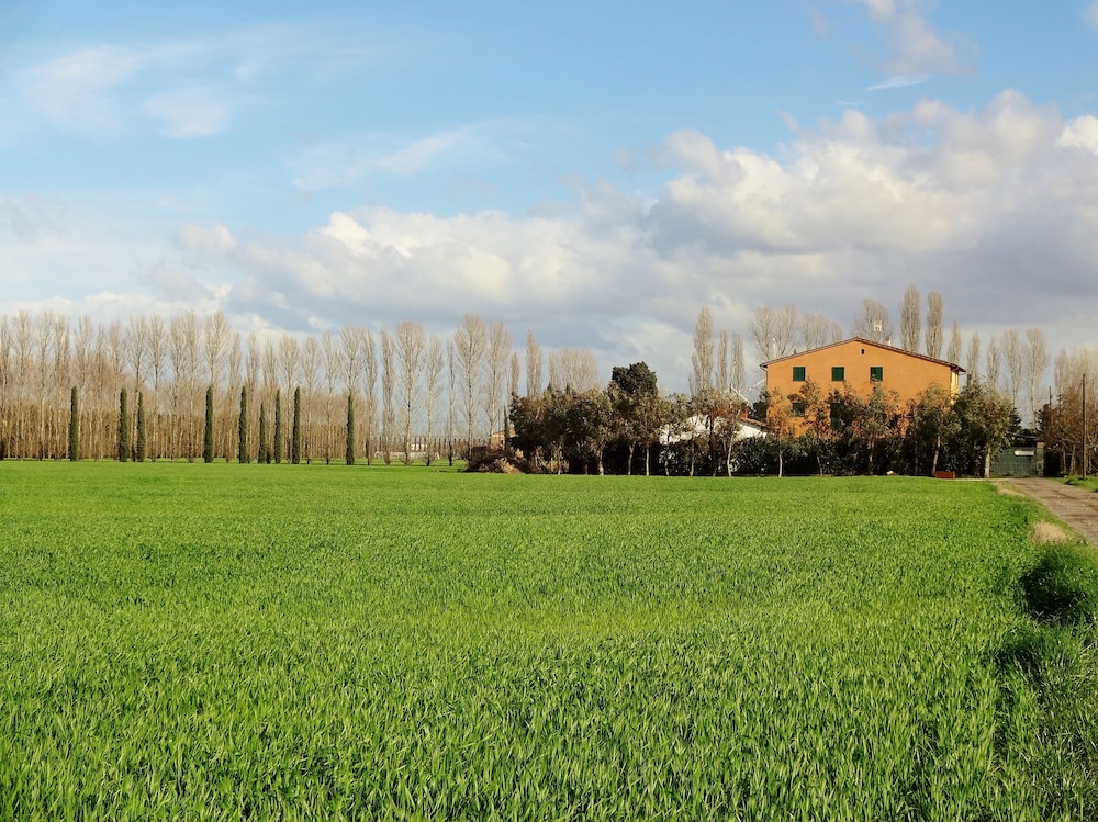 Agriturismo Pinzale