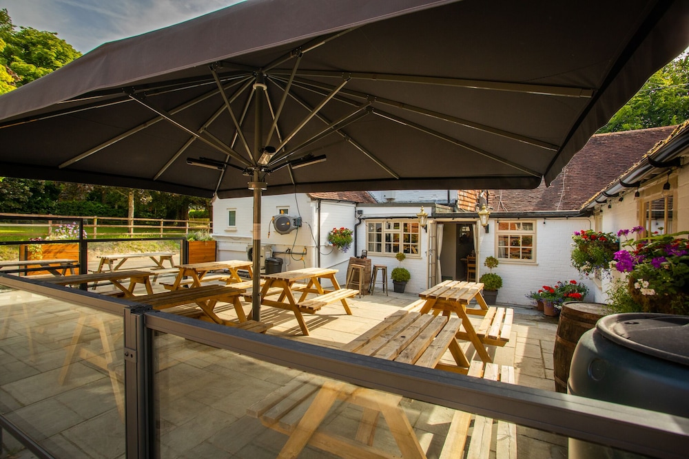 The White Lion