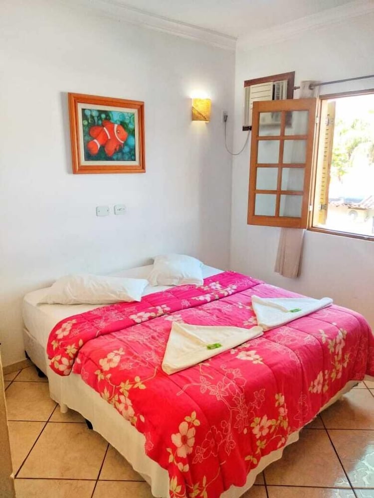 Conchas de Paraty