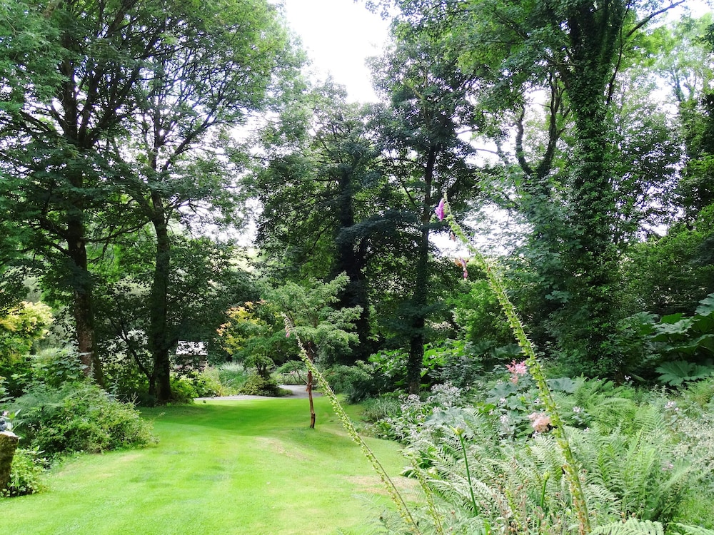 Newton Abbot Vacations - Bagtor Mill - Property Image 17