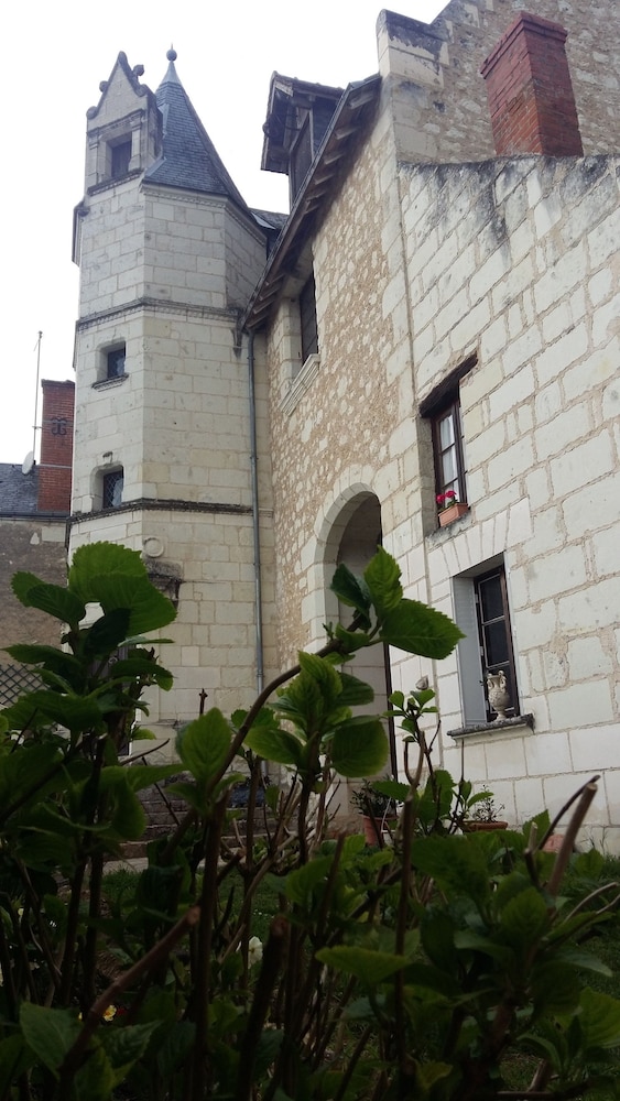 Photo 19