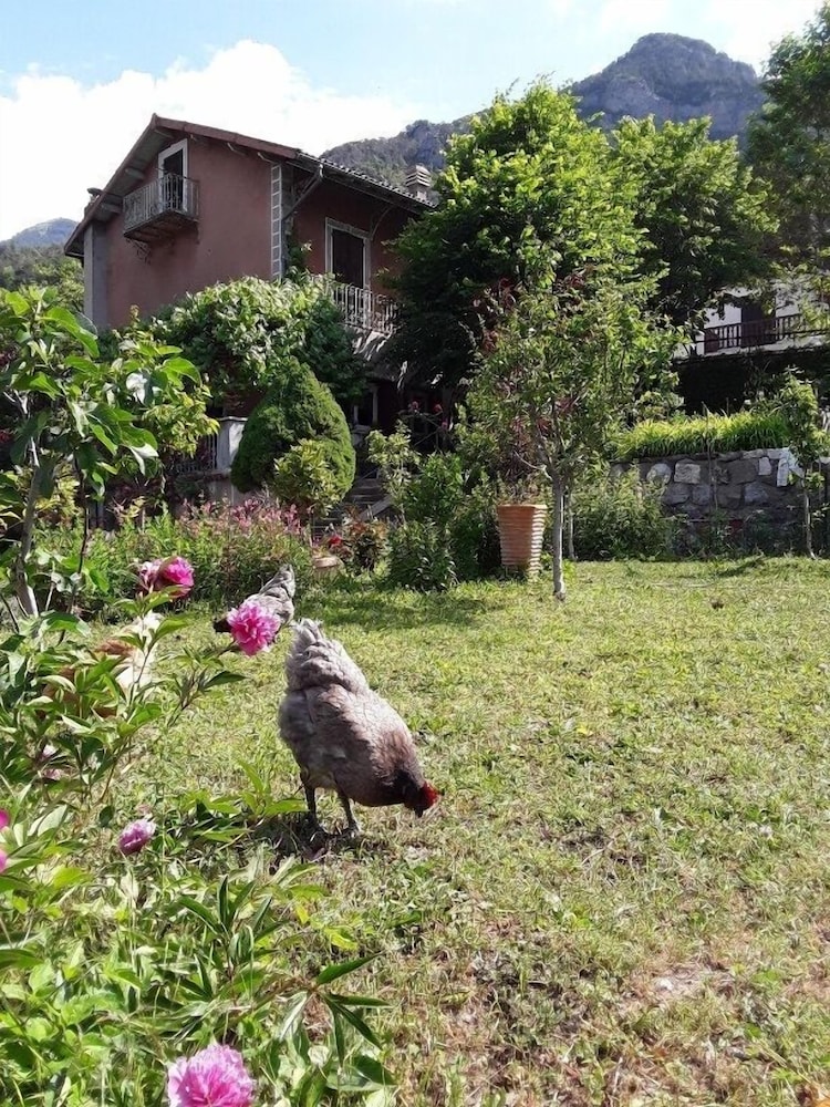 Photo 11