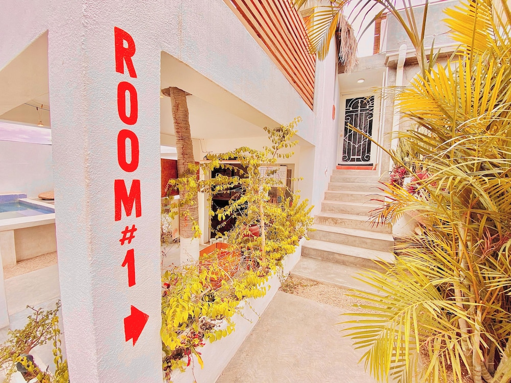 Perro Surfero Hotel Boutique - Todos Santos, BCS