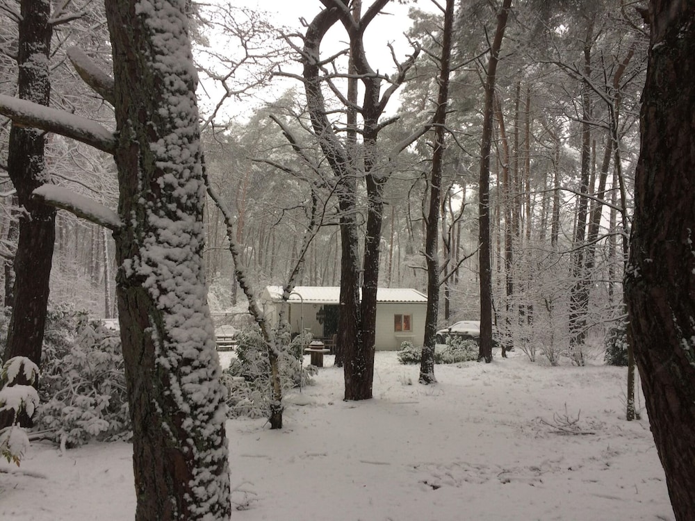 Gierle Garden Bungalow Escape