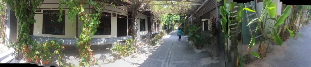 Photo 46