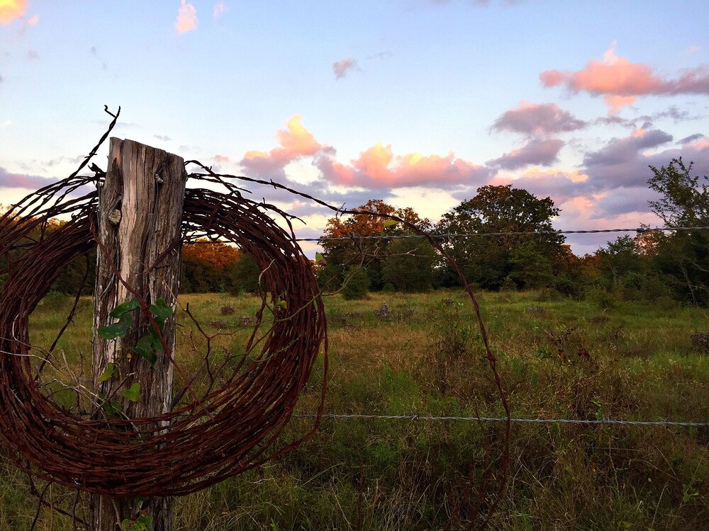 Night Bird Ranch