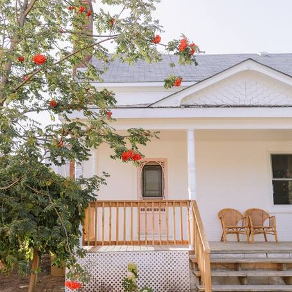 Let Go Unwind at the Wild Rose - Image 2