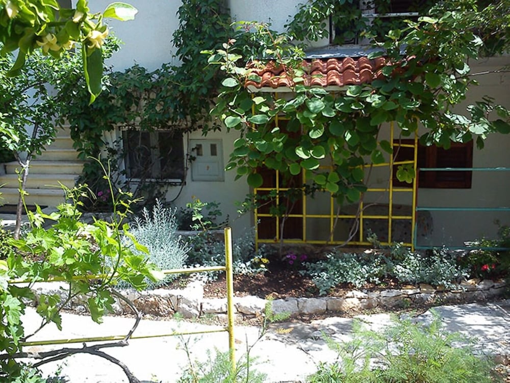 Photo 6