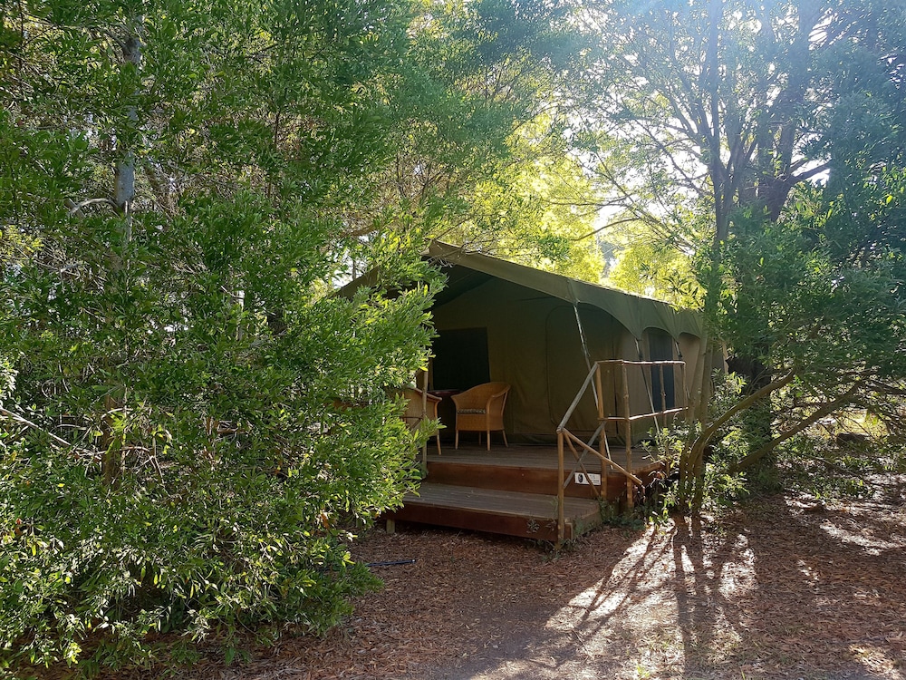 Tri Active Lodge