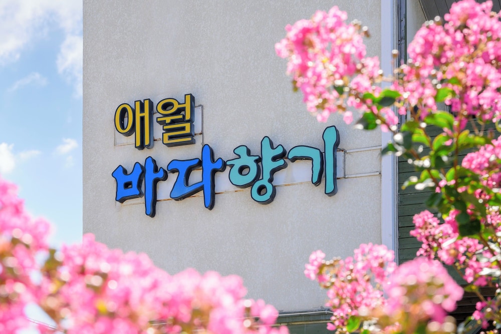 Aewol Bada Hyanggi
