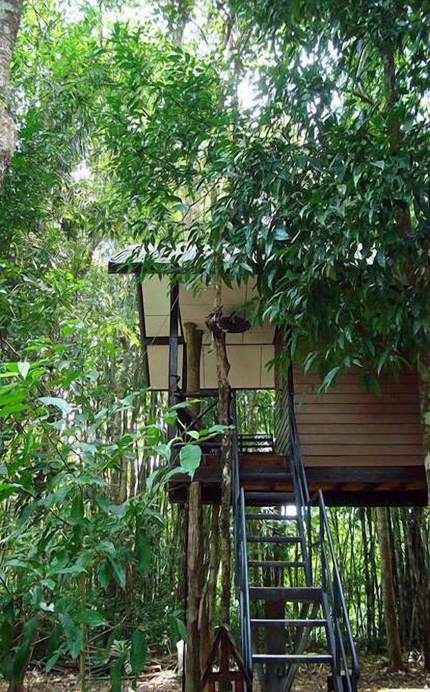 Khao Sok Tree House
