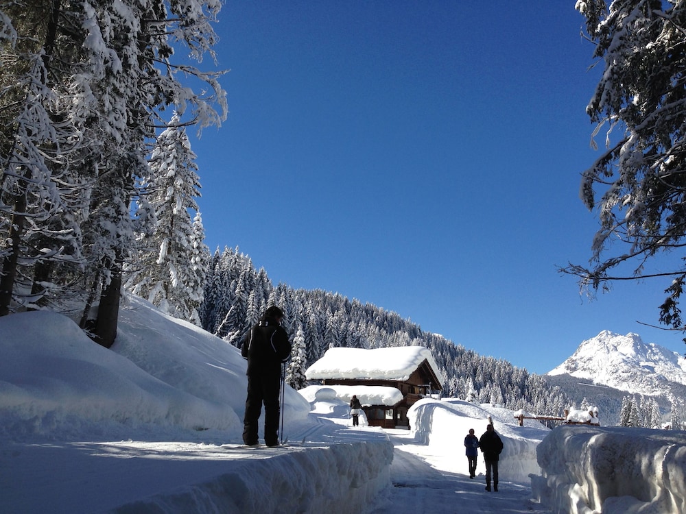 Alpin Haus